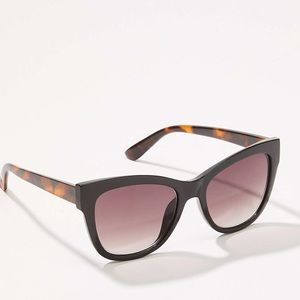 Loft Cateye sunglasses NWT
